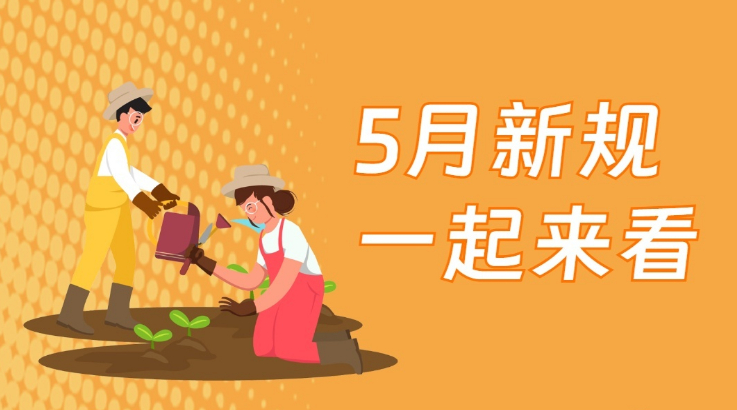 5¹棬һ